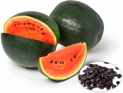 Seedsilk Store Hybrid F1 Watermelon Red Flesh Seeds - Water Melon Green Round Seed(50 per packet)
