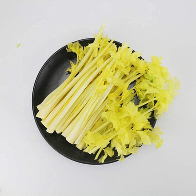 CYBEXIS Hybrid Celery Seeds Pleasant Aroma Green Vegetables700 Seeds Seed(700 per packet)