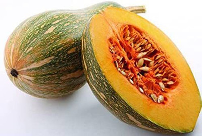 CYBEXIS F1 Hybrid Pumpkin Seeds Green-50 Seeds Seed(50 per packet)