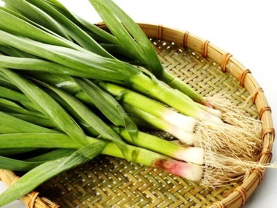 KNESSiN Easy to Grow Ramsons Bear Leek Seeds for Home Gardening-(300 Seeds) Seed(300 per packet)