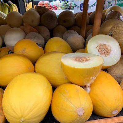 VibeX XLL-18 - Muskmelon Hybrid Golden Sun - (1350 Seeds) Seed(1350 per packet)