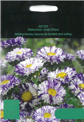 CYBEXIS Aster Matsumoto Violet Stripe Seed Seed(50 per packet)