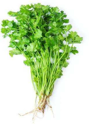 SEMINA VITA coriander seeds dhania seeds Seed(69 per packet)