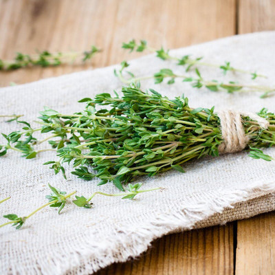Qualtivate PUA-4A Summer Thyme Seeds Seed(50 per packet)