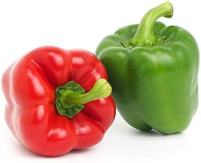 Biosnyg F1 Hybrid Bellboy Capsicum Seeds for Terrace Gardening-(200 Seeds) Seed(200 per packet)