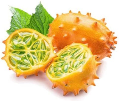 CYBEXIS KIWANO Jelly Melon - Horned Cucumber - Cucumis metuliferus1000 Seeds Seed(1000 per packet)