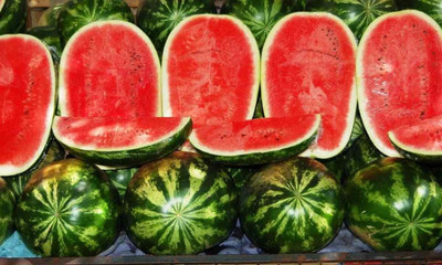 VibeX PUAS-60 - Giant Astrakhan Watermelon - (1350 Seeds) Seed(1350 per packet)