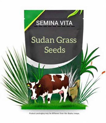 SEMINA VITA hybrid sorghum sudan grass seeds Seed(5400 per packet)