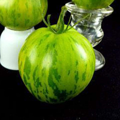 Qualtivate HYB-4A Green Zebra Tomato Seed(300 per packet)