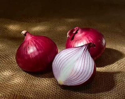 Qualtivate XXX-9A Red Baron Onion Non GMO Seed(500 per packet)