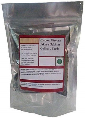 CYBEXIS Cleome Viscosa/Pahadi Black Jakhiya Seeds400 Seeds Seed(400 per packet)