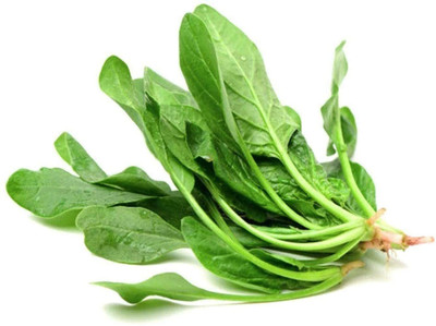 CYBEXIS Vegetable Spinach Seeds for Planting Non-GMO Heirloom Easy to Plant4000 Seeds Seed(4000 per packet)