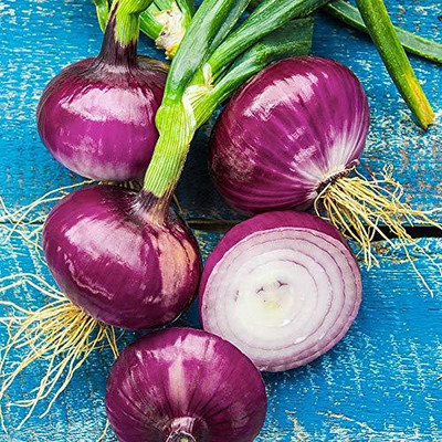 VibeX ® VLR-959 Onion Red Fresh Organic F1 Hybrid Seed(1000 per packet)