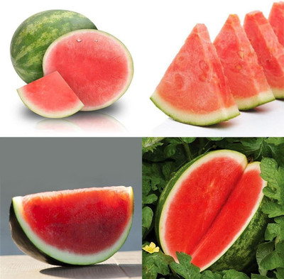 KNESSiN Seedless Watermelon Seeds Sweet Fruit Melon Seeds Seed(50 per packet)