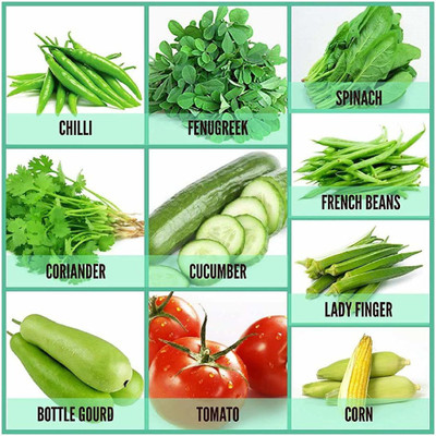 CYBEXIS Vegetable seeds Combo-9 varieties-1200+ Seed(10 g)