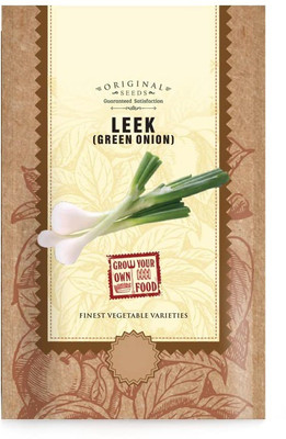WILLVINE LXI-838 Leek or Onion Vegetable Seeds Seed(1000 per packet)