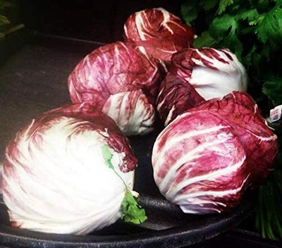 CYBEXIS Organic Red Cabbage Seeds2000 Seeds Seed(2000 per packet)
