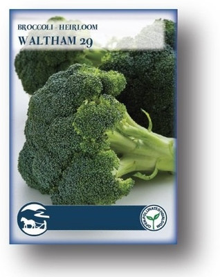 Biosnyg Waltham Broccoli[500 Seeds] Seed(500 per packet)