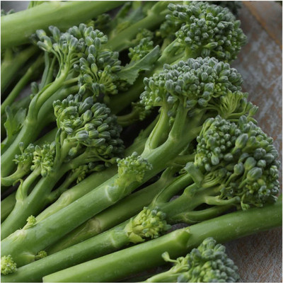 VibeX VXI-19 - Broccoli Green Calabrese - (450 Seeds) Seed(450 per packet)
