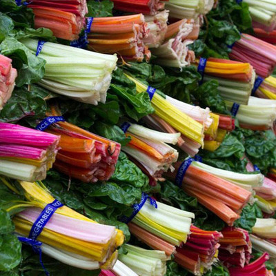 CYBEXIS Multi-Leaf Beet Swiss Chard Seeds2000 Seeds Seed(2000 per packet)