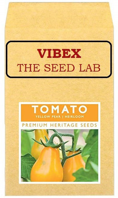 CYBEXIS Yellow Pear Tomato Hybrid Seeds2000 Seeds Seed(2000 per packet)