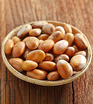 BDSresolve jackfuit seeeds for plant pack of 20 Seed(20 per packet)