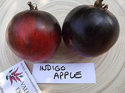 CYBEXIS Good Germination Indigo Apple Tomato Seeds2000 Seeds Seed(2000 per packet)