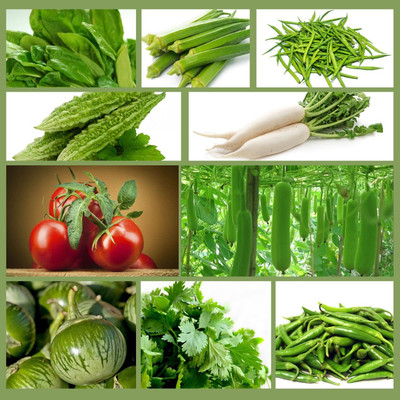 CRGO Summer Hybrid Vegetable Seeds With Instruction Manual (Pack of 10 Variety) Seed(6200 per packet)