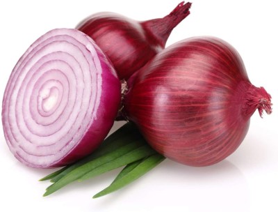 KNESSiN Red Nasik Onion Sweet Seed(500 per packet)