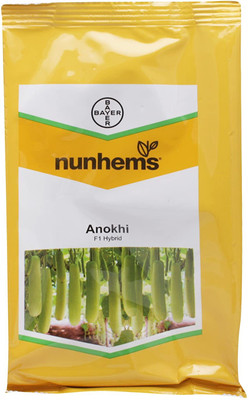 VibeX NUNHEMS Anokhi F1 Hybrid Bottle Gourd Seeds-(10 Gms, 50 Seeds) Seed(50 per packet)