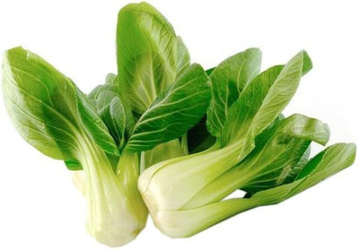 WILLVINE AMR -XIII Pak Choi, Chinese Cabbage, Bok Choi [10g] Seed(3000 per packet)