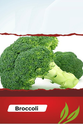 CYBEXIS GBPUT-10 - Calabrese Broccoli - (1350 Seeds) Seed(1350 per packet)