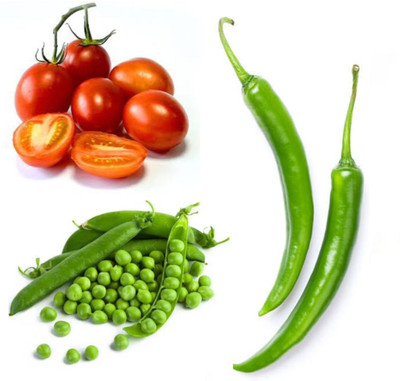 PSAgroinput Tamatar Mirchi Matar pack of 3 Seed(100 g)