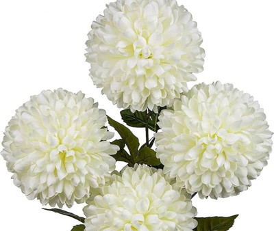 ibains Guldaudi flower mix seeds Seed(51 per packet)