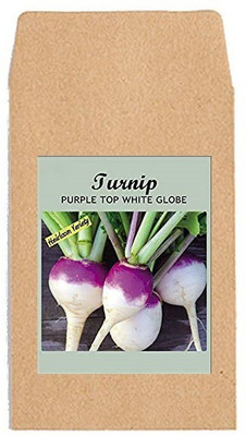 CYBEXIS Hybrid Vegetable Seeds-Turnip Purple Top2000 Seeds Seed(2000 per packet)