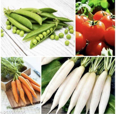 FRESHO All Mixed Vegetable Seeds Seed(500 per packet)