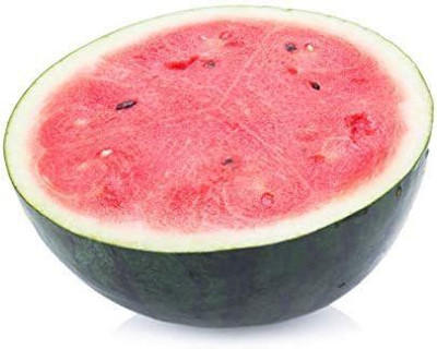 VibeX LXI-5 - Ext. Sweet Sugar Baby Watermelon - (150 Seeds) Seed(150 per packet)