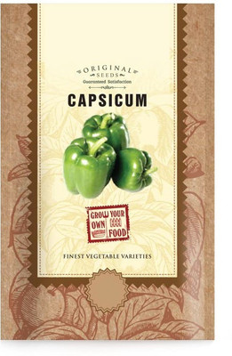 CYBEXIS KGF -3 - Capsicum/ Shimla mirchi - (1350 Seeds) Seed(1350 per packet)