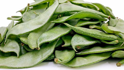 GREENSEA Broad Bean, Dolichos Seed(44 per packet)
