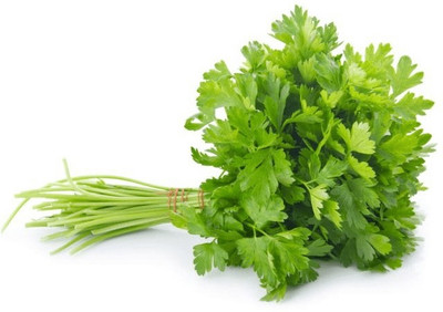 ZIXA Organic Cilantro/Coriander Seed(50 per packet)