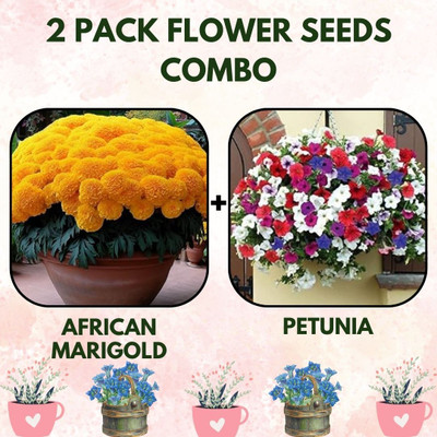 Infiniteseeds 2 Pack Combo of African Marigold and Petunia Flower Seeds Seed(2 per packet)