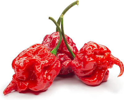 Biosnyg Hot Carolina Reaper Chilli Seeds For Kitchen Gardening-(4000 Seeds) Seed(4000 per packet)