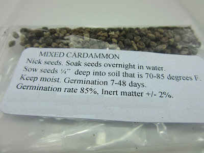 WILLVINE PAU-103 Chota Elach -Cardamom -Veldode -Yallaki -EalaChai Seed(100 per packet)