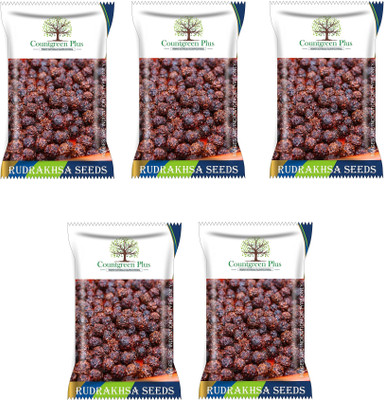 Countgreen Plus Rudraksha/Elaeocarpus Ganitrus Rudraksh Holy Tree Seed(25 per packet)