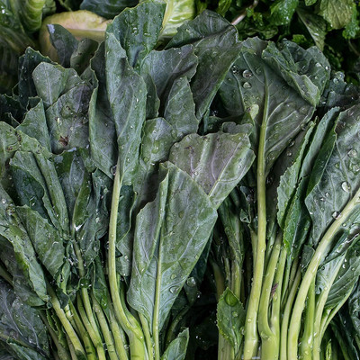 WILLVINE VNR -III Chinese Broccoli Seeds,Kai LAN [25g] Seed(7500 per packet)