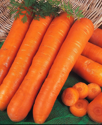 CRGO GAAJAR, CARROT Seed(1000 per packet)