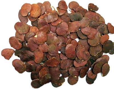 EasySeeds Red Palash,Tesu,Flame of the forest,Butea Monosperma,Dhak Seed(10 per packet)