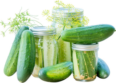 Qualtivate RES-6A Picklebush Pickling Cucumber Seeds Seed(300 per packet)