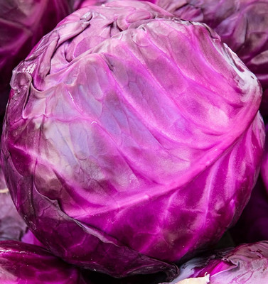 Biosnyg Red Acre Cabbage Seeds-250 Seeds/1gm Seed(250 per packet)
