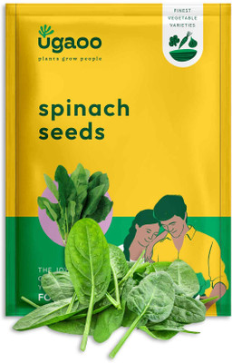 UGAOO Palak or Spinach Vegetable Seed(1700 per packet)